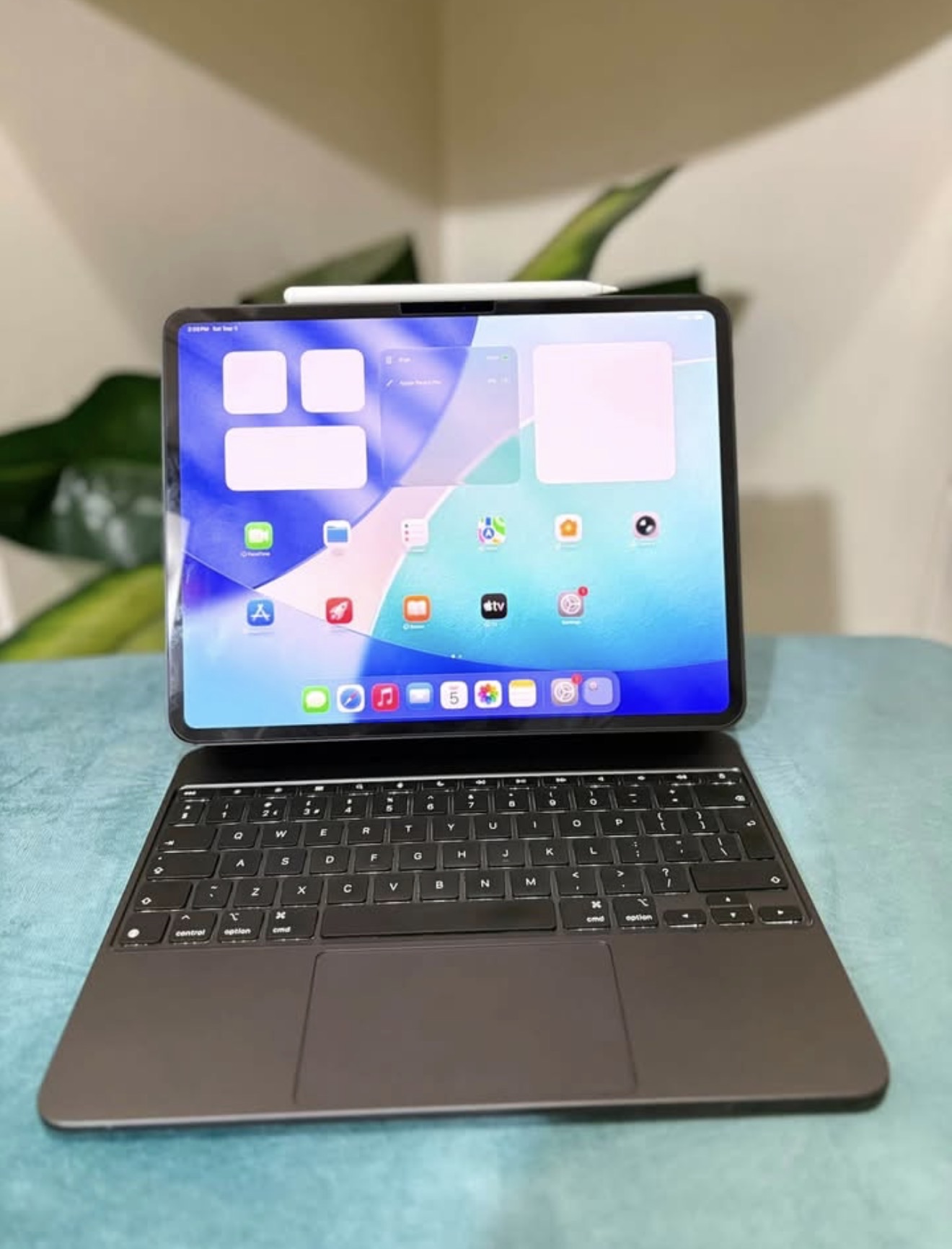 iPad Pro M4.  13 pouces. miniature 2